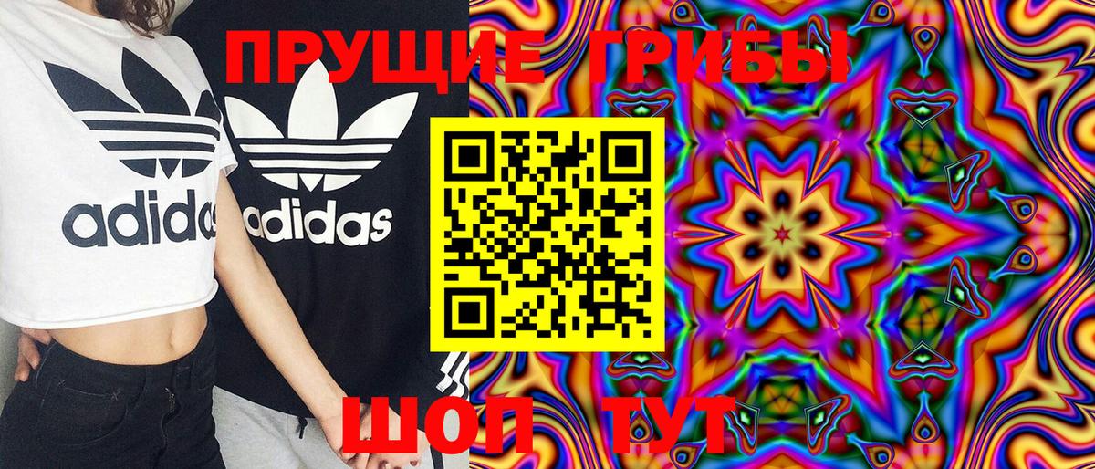 Мценск  Псилоцибиновые грибы Magic Shrooms  Вход с VPN 